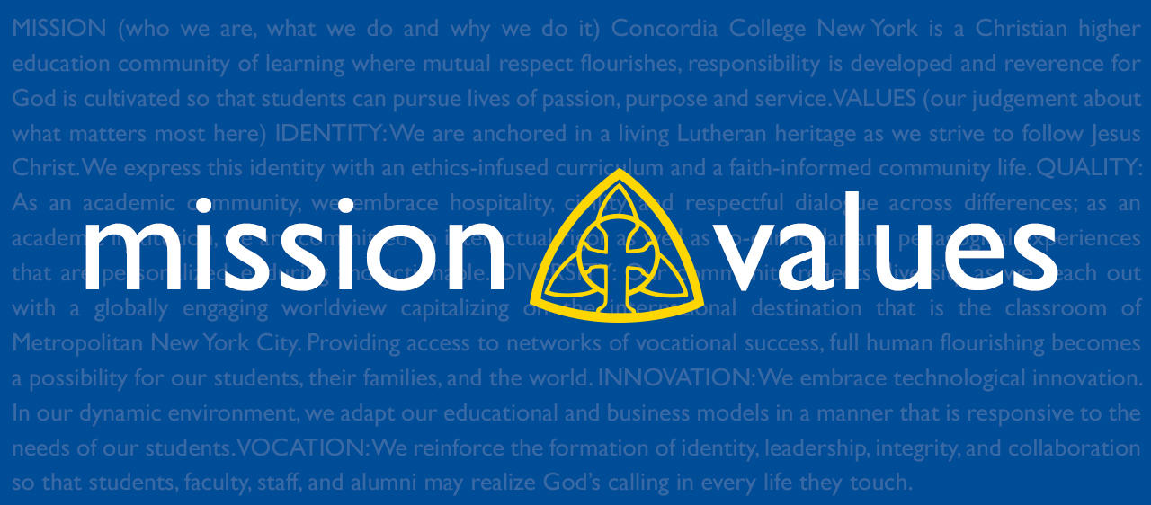 Mission and Values Header